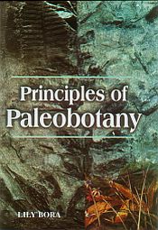 Principles of Paleobotany / Bora, Lily 